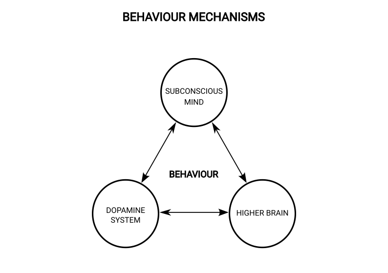 The Practical Sobriety model showing the subconscious mind, dopamine system and higher brain producing behaviour