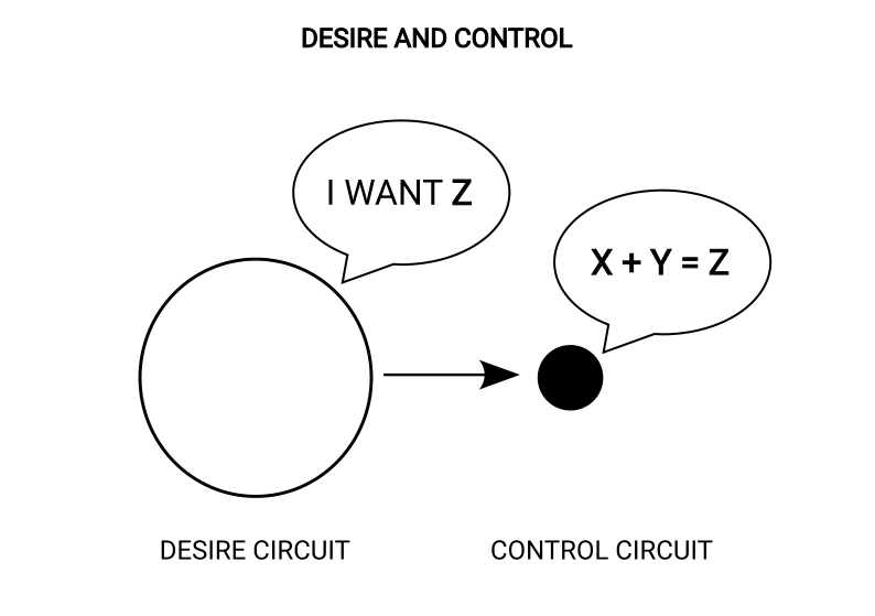 The desire circuit passing a want to the control circuit for rationalisation